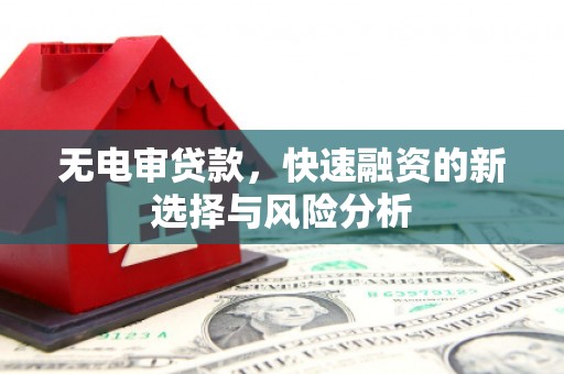 天津无电审贷款，快速融资的新选择与风险分析