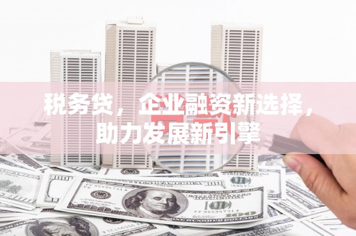镇宁税务贷，企业融资新选择，助力发展新引擎