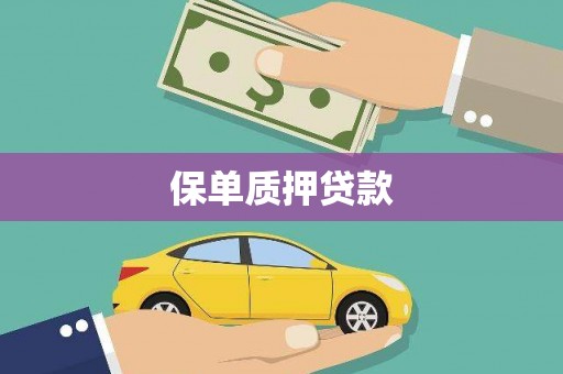 甘南保单质押贷款