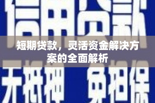 新泰短期贷款，灵活资金解决方案的全面解析