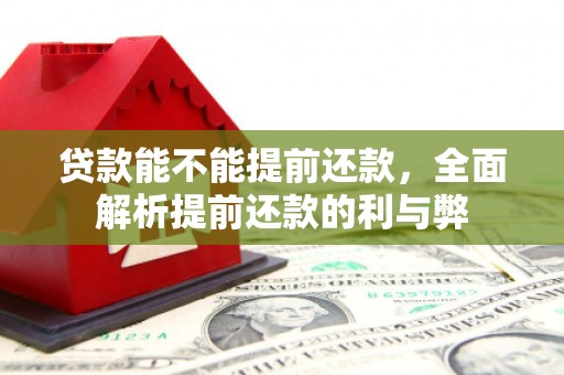 阜城贷款能不能提前还款，全面解析提前还款的利与弊