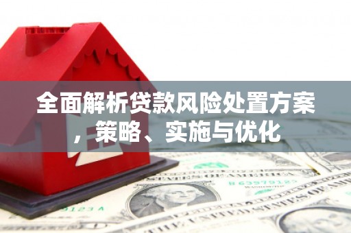 紫金全面解析贷款风险处置方案，策略、实施与优化