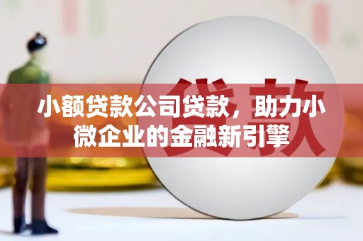 普宁小额贷款公司贷款，助力小微企业的金融新引擎