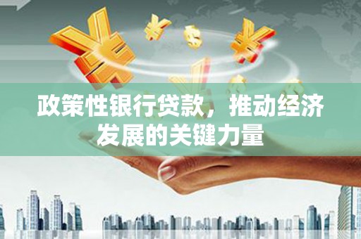 淄博政策性银行贷款，推动经济发展的关键力量
