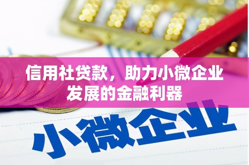 丰顺信用社贷款，助力小微企业发展的金融利器