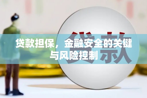 兴文贷款担保，金融安全的关键与风险控制