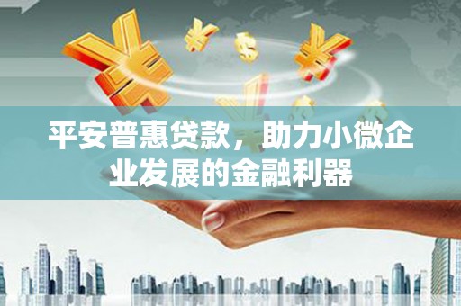 达仁平安普惠贷款，助力小微企业发展的金融利器