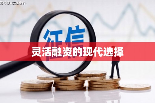 南区灵活融资的现代选择