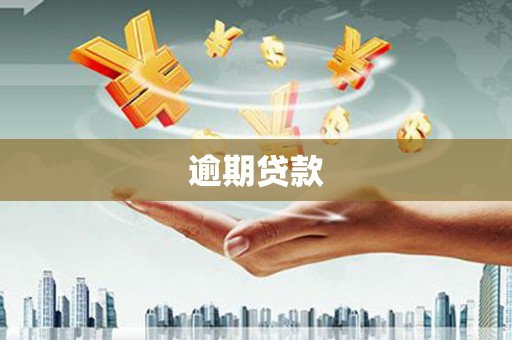 西丰逾期贷款