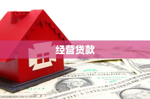 朴子经营贷款