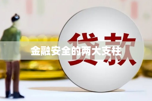 新县金融安全的两大支柱