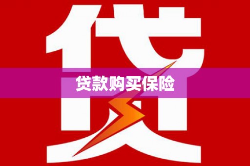 环江贷款购买保险