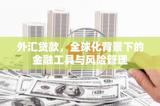 池上外汇贷款，全球化背景下的金融工具与风险管理