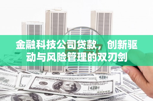 威宁金融科技公司贷款，创新驱动与风险管理的双刃剑
